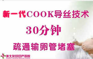 新一代cook導(dǎo)絲:輸卵管性不孕比較新治療技術(shù)